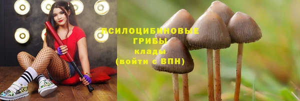 соль курить ск Медногорск