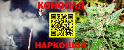 индика Гусь-Хрустальный