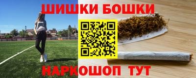 индика Гусь-Хрустальный