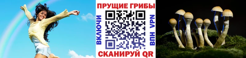 Псилоцибиновые грибы Magic Shrooms  где найти наркотики  Топки 