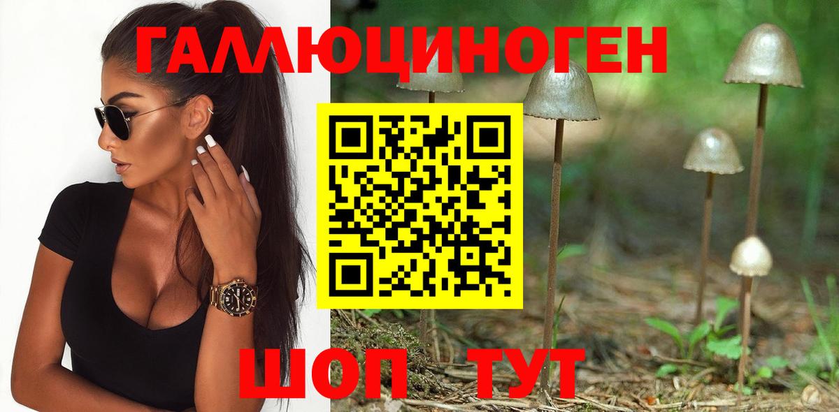 Галлюциногенные грибы прущие грибы  Вход с VPN  Галлюциногенные грибы Psilocybine cubensis  Топки 