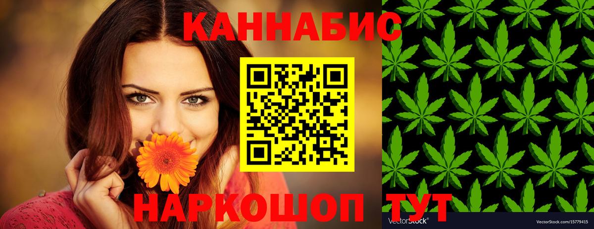 Конопля гибрид  Топки  Конопля сатива 